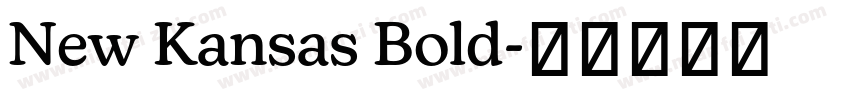 New Kansas Bold字体转换